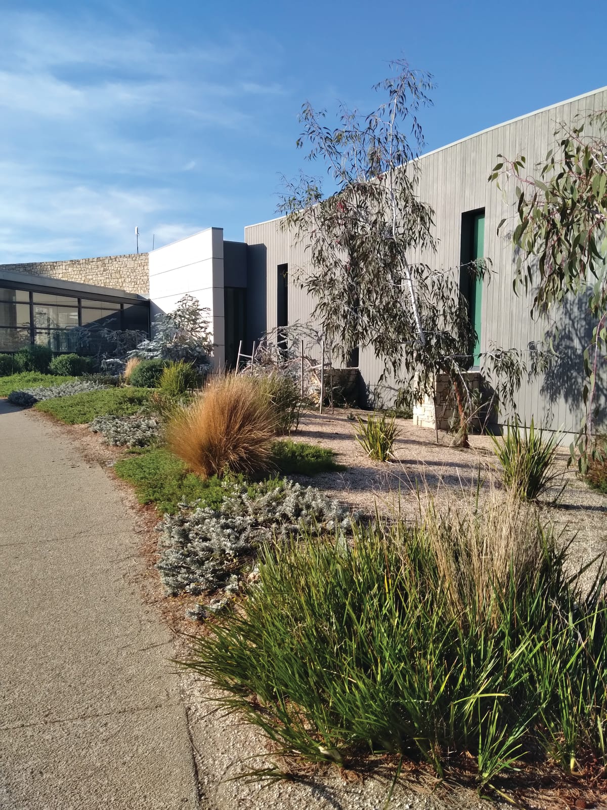 Water, a precious resource