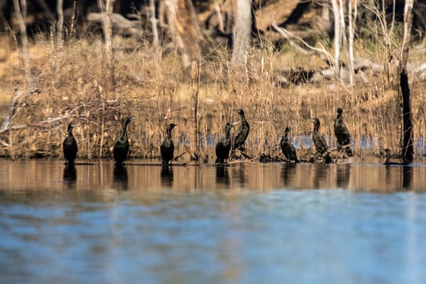 Hooks, lines and sinkers